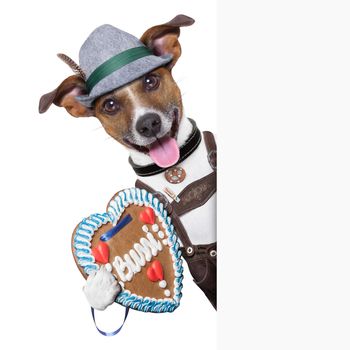 oktoberfest dog ,smiling happy holding a placard