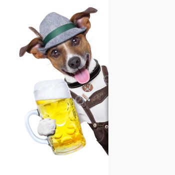 oktoberfest dog with  a beer mug ,smiling happy behind a placard