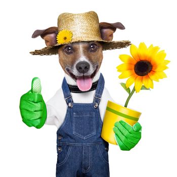happy gardener dog with thumb up and a flower