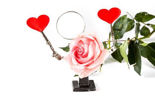 .Abstract Valentines Day background with engineering tool third hand holding hearts and rose on white background