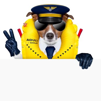 pilot captain dog wearing  emergency life vest behind a placard with peace fingers