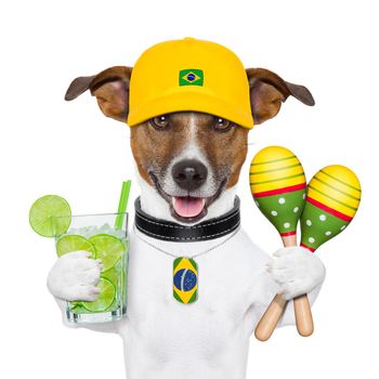 funny brazilian dog with caipirinha and rattle shakers