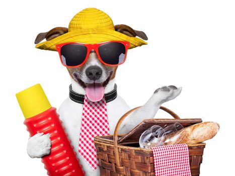 holiday dog with thermos and basket ready for picnic