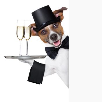 dog toasting with service tray behind  a white placard