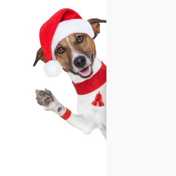 christmas dog as santa behind placard waving with paw