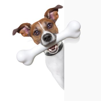 dog with a big white bone and  a white banner