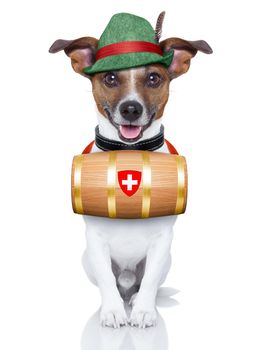 swiss rescue dog with a barrel and a green hat