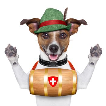swiss rescue dog with a barrel and paws up