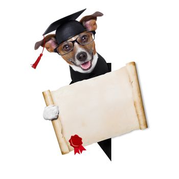 happy graduate dog holding a big diploma beside a banner