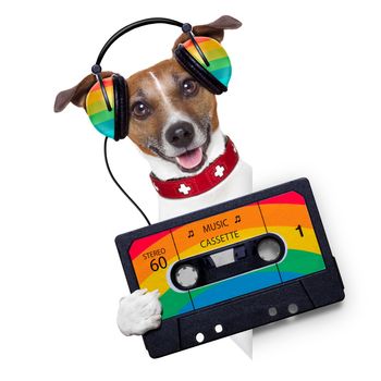 dog listening to music from an old cassette of the 80´s