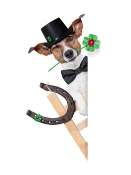 lucky chimney dog on a ladder with a four  leaf clover beside a blank banner