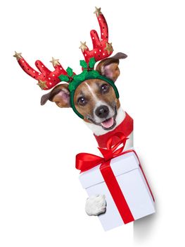 reindeer dog behind a blank banner with a christmas present
