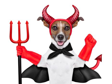 devil dog behind a blank white banner