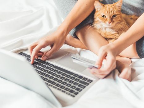 Cute ginger cat and woman in bed with laptop. Woman is making online order and paying with credit cards. Online shopping. Morning bedtime with fluffy pet.