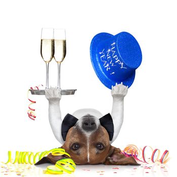 dog celebrating with champagne and a blue happy new year hat lying upside down