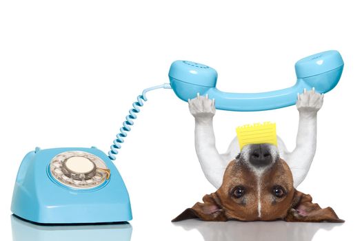dog holding a telephone and a note lying upside down