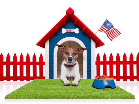 dog in  house with american flag and bowl full of food