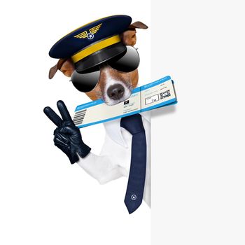 check in pilot dog with boarding pass beside a white placard