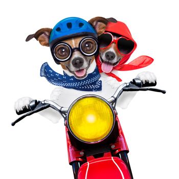 motorbike couple at speed with helmet and crazy glasses