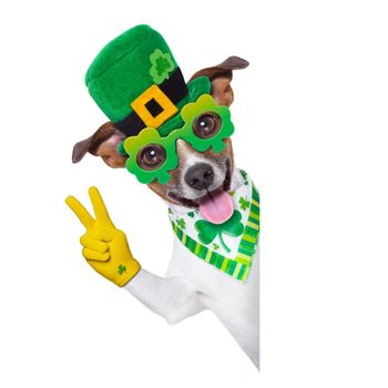 st patricks  day dog behind a blank banner