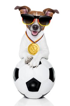 german soccer dog  with ball and medal