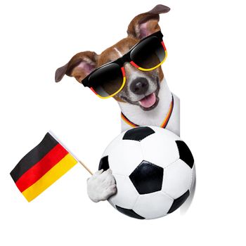 german soccer dog  with german flag waving