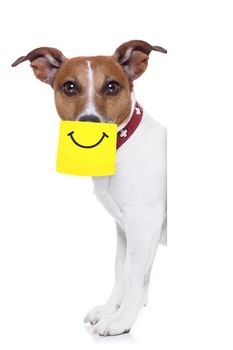 dog with a yellow note sticking on nose with a big smile on it