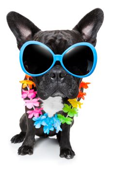 dog on vacation wearing  fancy sunglasses and flower chain