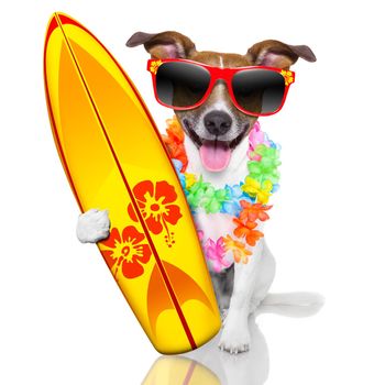 silly funny surfer dog with fancy surf board and flower chain