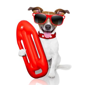 funny lifeguard dog with red  lifesaver buoy