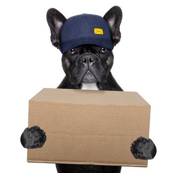 postal dog delivering a big brown package