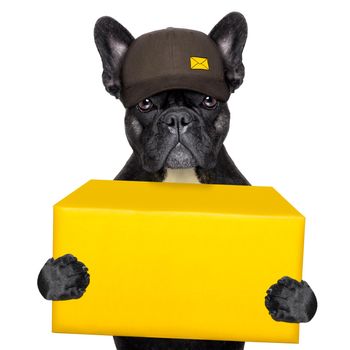 postal dog delivering a big yellow package