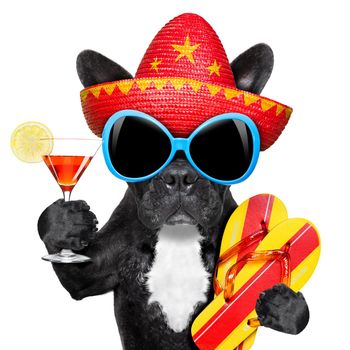 dog with martini glass and mexican hat