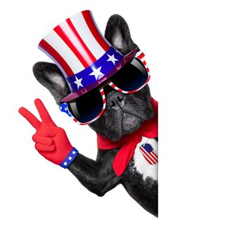 french bulldog with victory and peace fingers behind a white blank banner or placard