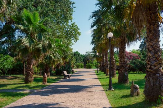 Natural landscape with a view of the Park of southern cultures. Sochi, Russia