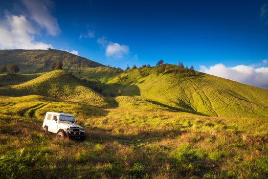 Savanna at Mount Bromo volcanoes in Bromo Tengger Semeru National Park, East Java, Indonesia.