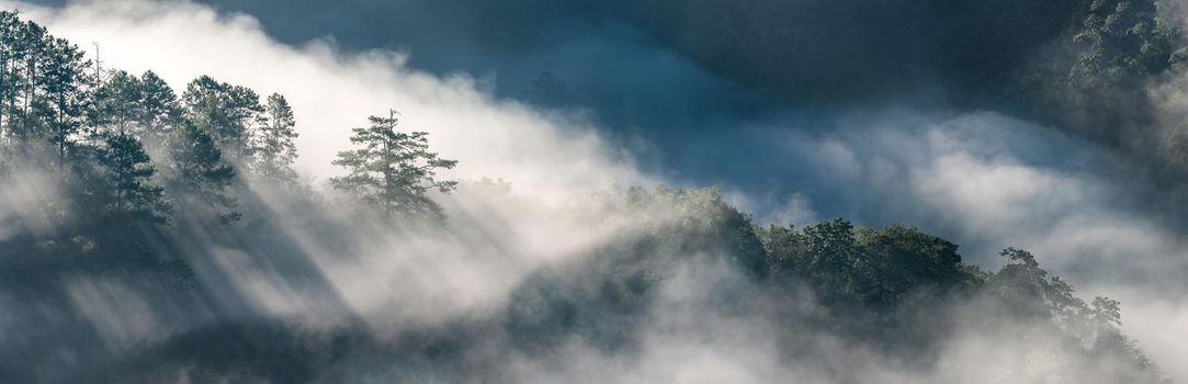 Panorama view of amazing mist moving over the nature mountains during sunrise at mountains area in Thailand.