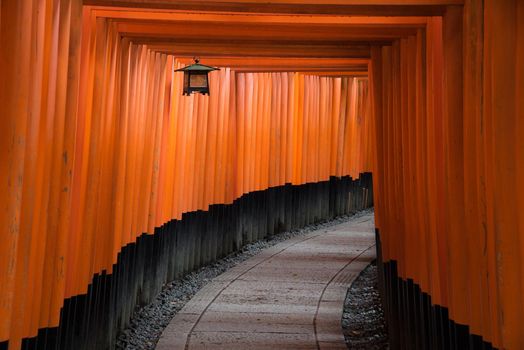 The red torii gates walkway path at fushimi inari taisha shrine the one of attraction  landmarks for tourist in Kyoto, Japan