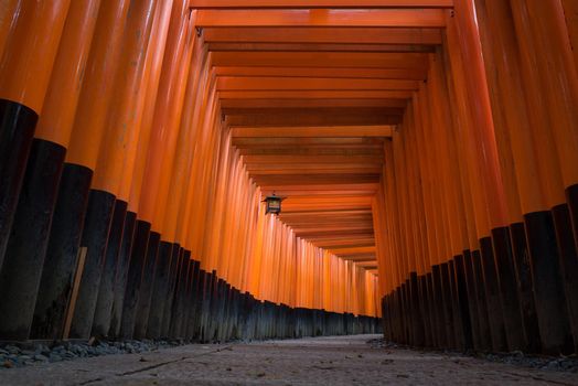 The red torii gates walkway path at fushimi inari taisha shrine the one of attraction  landmarks for tourist in Kyoto, Japan