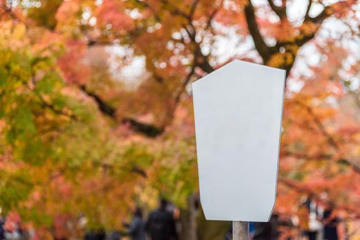 Blank white board with beautiful nature colourful tree leaves in autumn season at Japan in background.