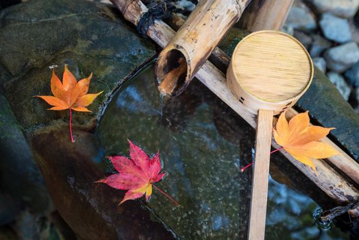 Japanese zen garden for relaxation balance and harmony spirituality or wellness in Kyoto,Japan