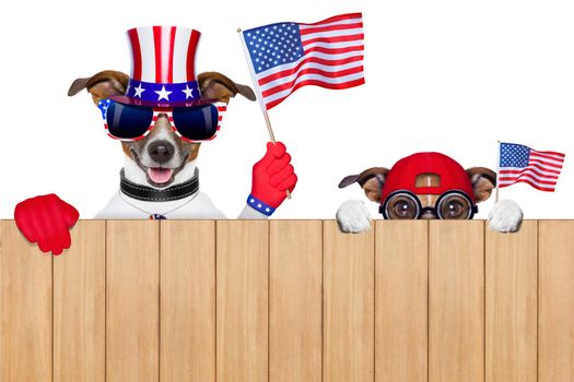 two dogs watching 4th of july parade