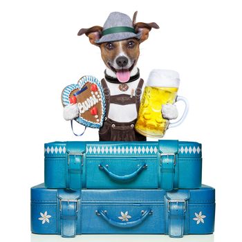 oktoberfest dog with luggage, beer, and gingerbread heart