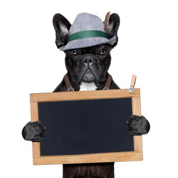 bavarian german dog holding a blank blackboard