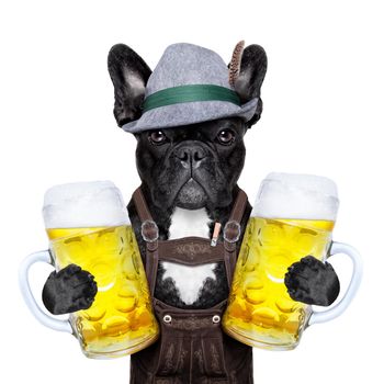 bavarian german dog  holding two big beer mugs
