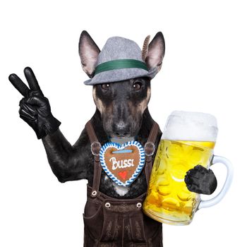 bavarian german dog with peace or victory fingers and  beer mug