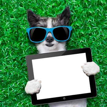 dog holding a blank tablet pc lying on green grass at the park