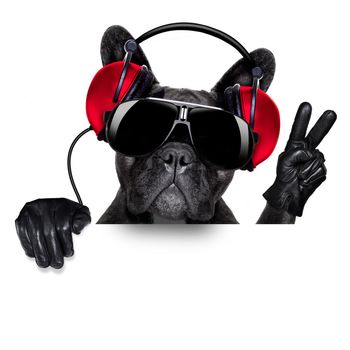 cool dj dog listening to music behind a white and blank banner or placard with peace  or victory fingers