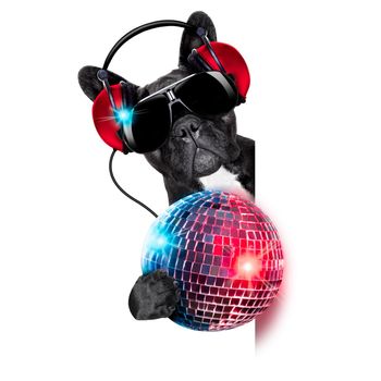 dj dog listening to music behind an empty and blank banner with a fancy disco ball and lights