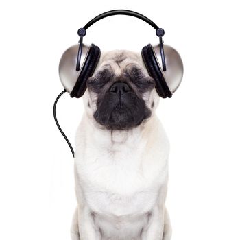 pug dog listening to music with  eyes closed